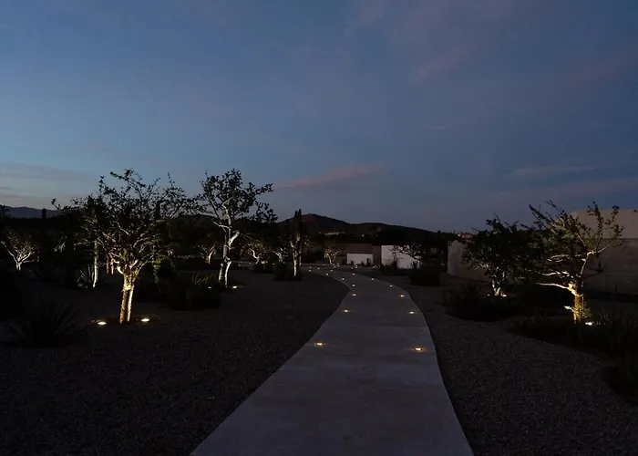 Cora Campestre Sunrise G-302